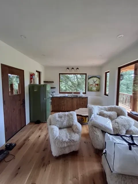 Smooth plaster interior walls in treehouse living room with wood floors