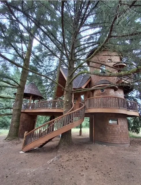 Specialty treehouse plaster