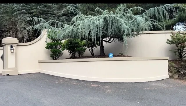Curved stucco perimeter wall with weeping blue atlas cedar and landscaping