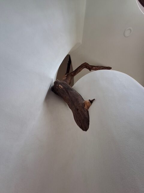 Luxury treehouse plaster